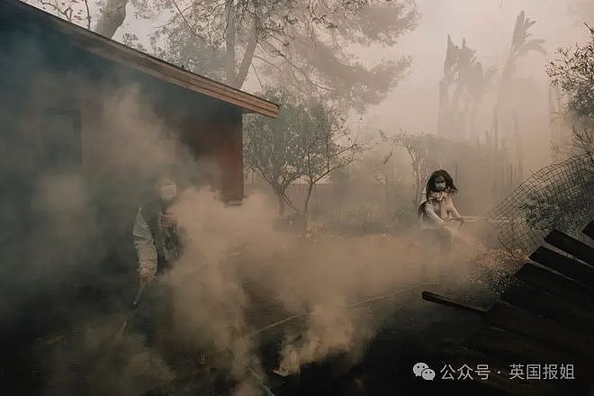 加州史上最恐怖大火魔幻后续！有人拿喷火器故意纵火，还有人深入豪宅废墟“零元购”？（组图） - 33