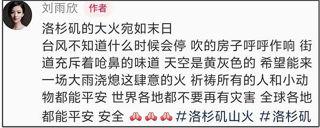 女星刘雨欣亲历洛杉矶大火，直言宛若世界末日，天空都是黄灰色（组图） - 6