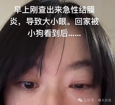 【爆笑】“上课看H文不小心点了屏幕共享？”哈哈哈哈哈连夜逃离地球！（组图） - 27