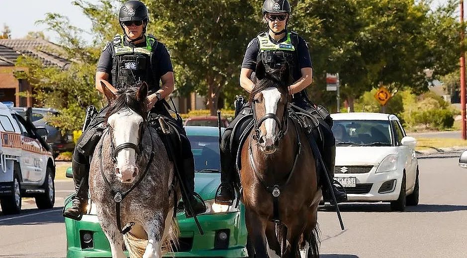 澳洲小学旁发生激烈打斗！数十人互殴血溅现场，1人被捅身亡（组图） - 3