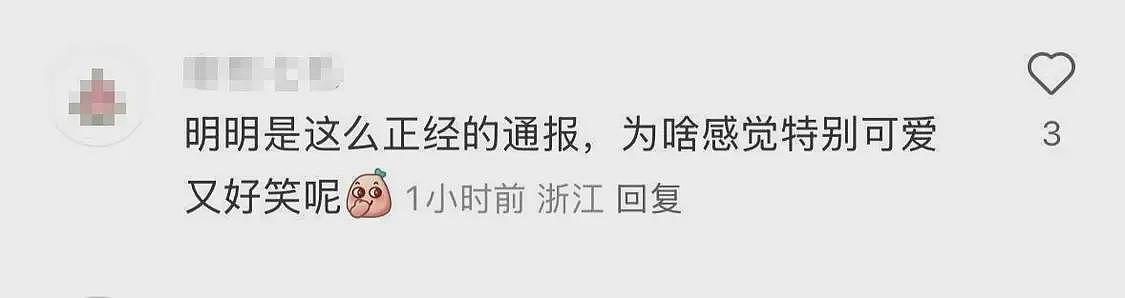 殴打同事、上班死气沉沉…4只警犬被通报“批评”，网友：小狗狗不喜欢上班有什么错（视频/组图） - 5