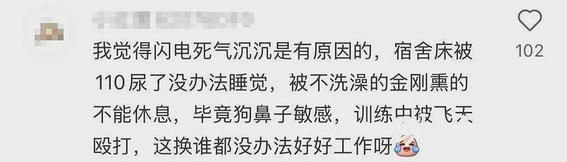 殴打同事、上班死气沉沉…4只警犬被通报“批评”，网友：小狗狗不喜欢上班有什么错（视频/组图） - 3