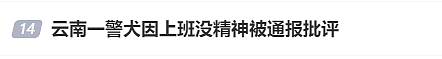 “上班死气沉沉、下班魅力四射”，警犬被通报（视频/组图） - 3