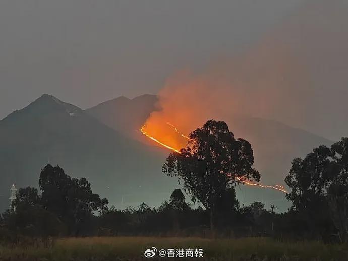 香港突发山火！烧了一夜，深圳也能看到！（组图） - 2