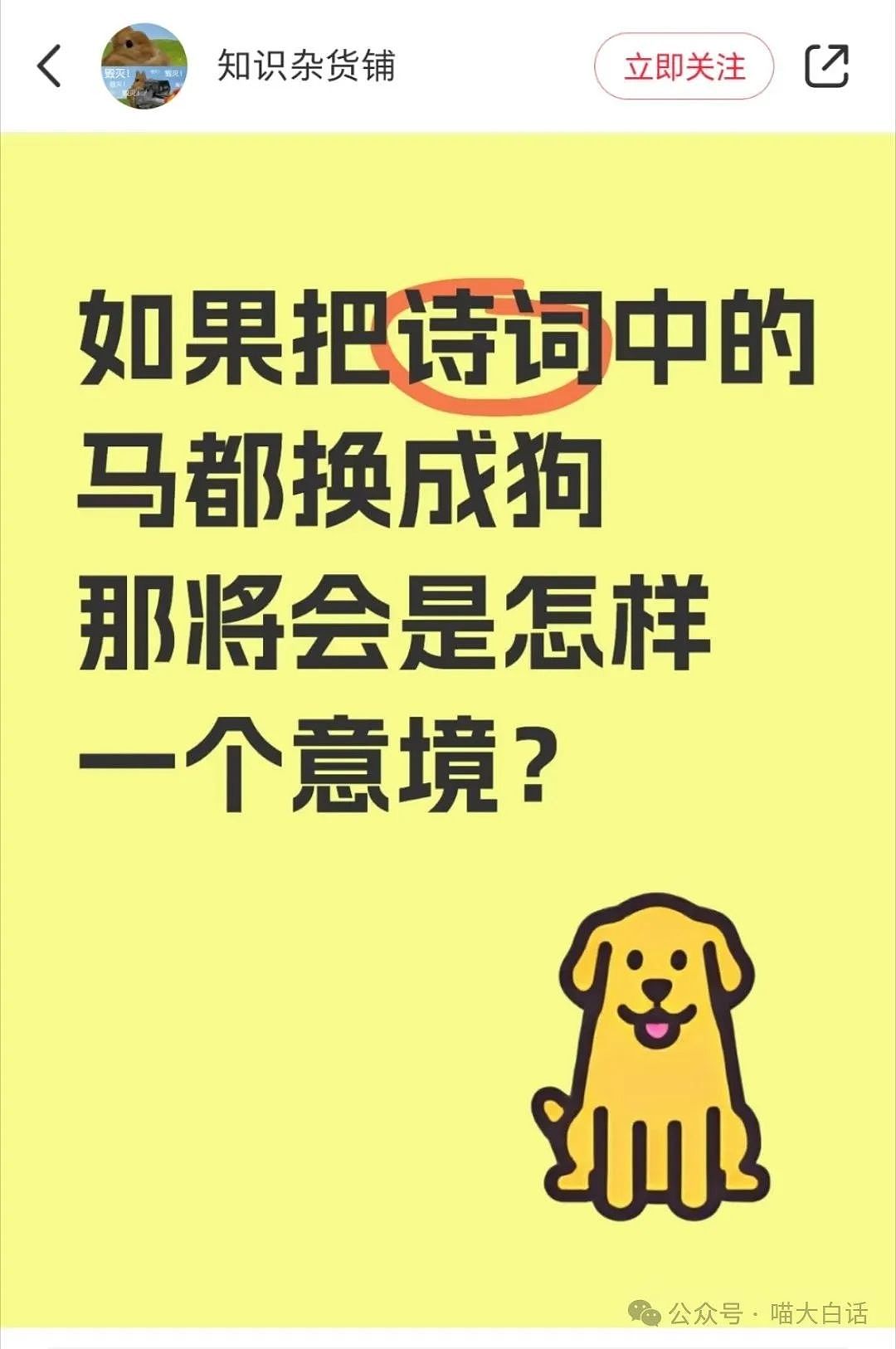 【爆笑】“媒婆包装的相亲对象有多诈骗？”哈哈哈哈哈我嘞个语言艺术（组图） - 13