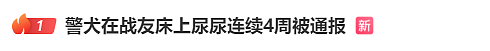 “上班死气沉沉、下班魅力四射”，警犬被通报（视频/组图） - 2