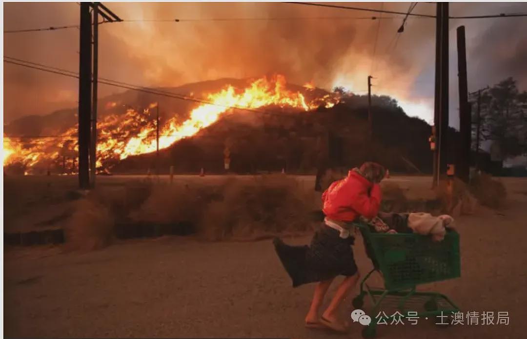 澳洲公民惨死美国洛杉矶大火；11岁男孩在Westfield购物中心 “开枪“射击顾客被起诉（组图） - 4