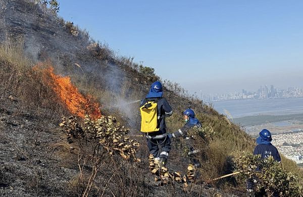 香港山区也烧起野火！火线两路蔓延长达500公尺（组图） - 3