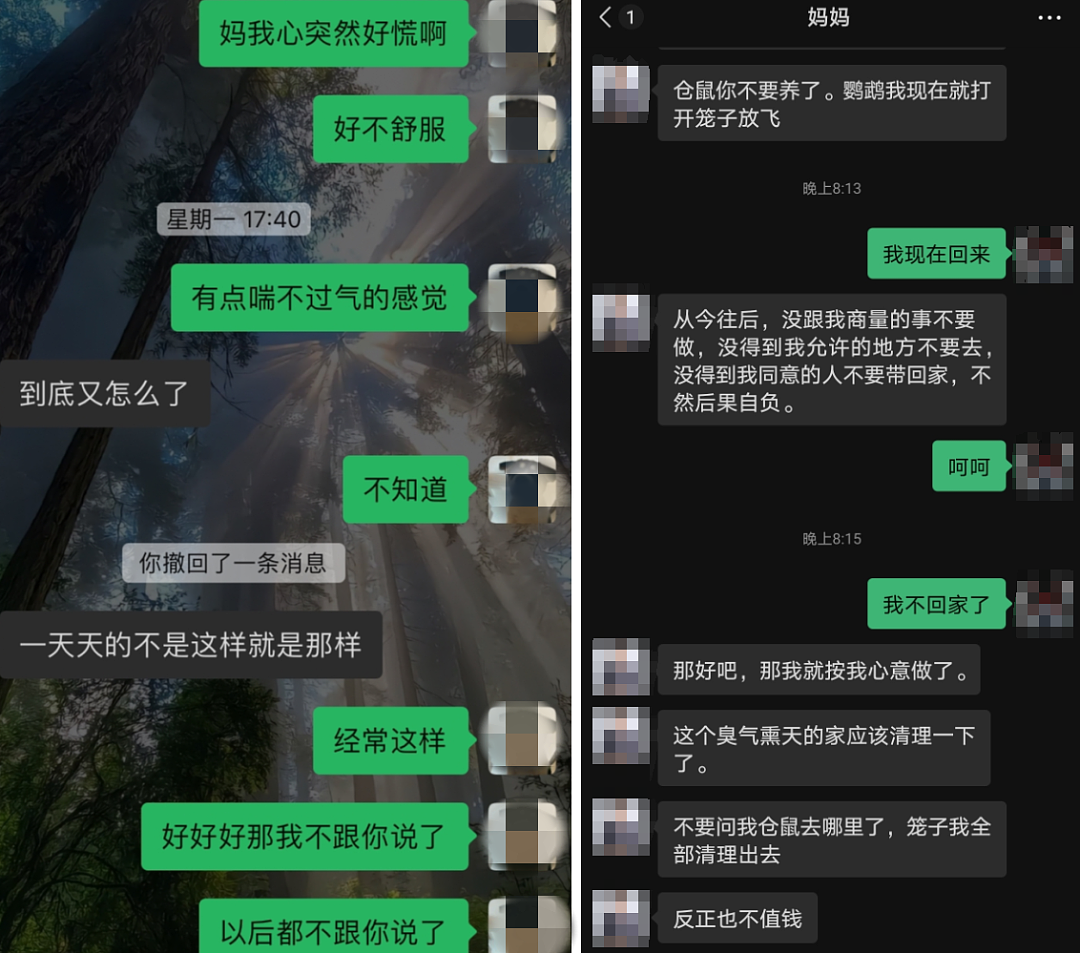 全网最炸裂小孩哥，三句话聊懵汪涵：听完头好痒，感觉要长脑子了…（组图） - 3