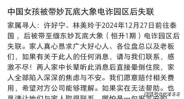 好消息！许好宁林美玲已顺利回国，家人公布细节，差点营救失败！（组图） - 11