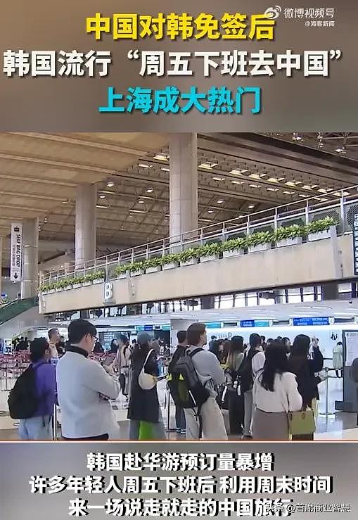 840万韩国人涌入上海，沪爷开豪车炸街！韩国论坛嘲讽：太没品了（视频/组图） - 6