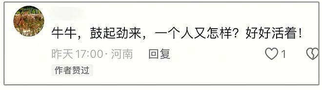 52岁牛莉疑官宣离婚，潇洒告别28年婚姻，知情人曝原因，评论一片祝福（组图） - 13