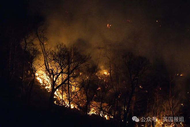 加州大火丝毫未减烧出火龙卷又现魔鬼风！美国网友对比重庆山火救援后大破防（组图） - 36