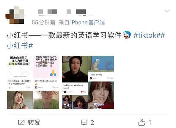 眼看Tiktok即将被禁，无处可去的美国人连夜疯狂涌入小红书！中国网友的反应太现实了（组图） - 35