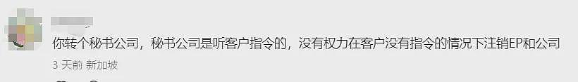 签阴阳合同、欠债$750万… 华人陪读妈妈为拿新加坡身份，意外落入惊天骗局（组图） - 18