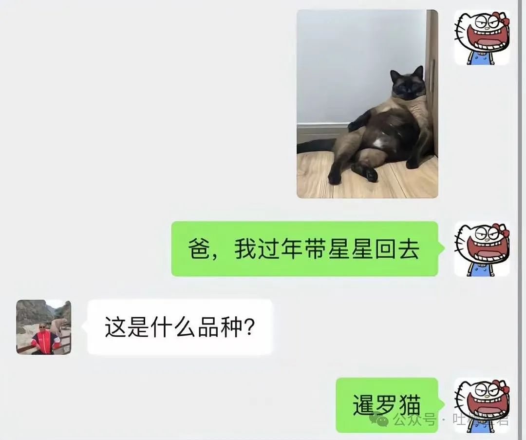 【爆笑】婆婆网购给人一点小小震撼？”网友：下班回家两眼一黑…（组图） - 80