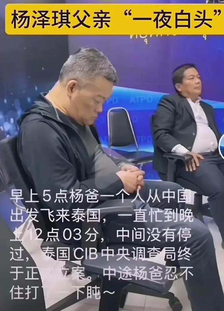 杨泽琪找到了！杨父录视频报平安！传杨泽琪状态不是很好，不愿意骗人老是被打，父亲一夜白头...（视频/组图） - 2