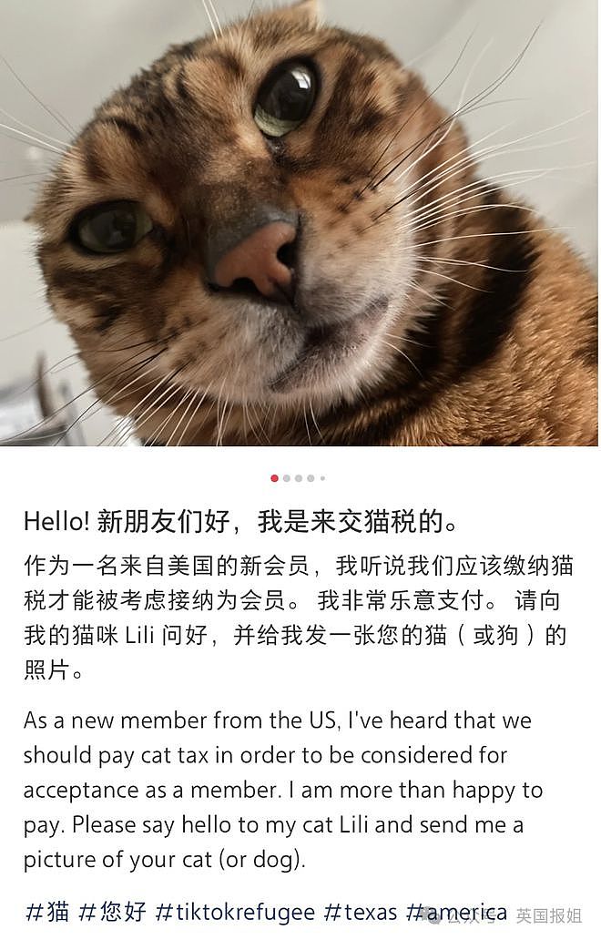 大量美国网友担心TikTok被禁涌入中国社媒！两边网友沙雕互动笑疯：我教你英语，你帮我做数学作业啦！（组图） - 6