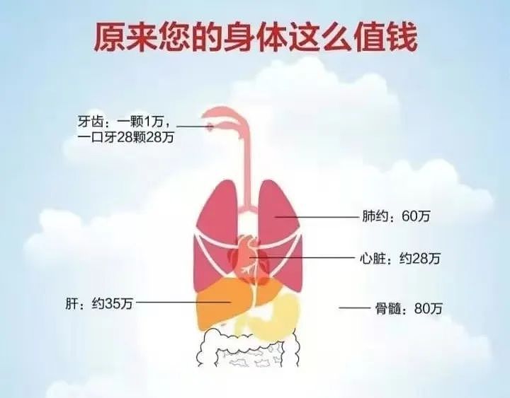 律师：除了缅北，我们这行偶尔也给器官明码标价 （组图） - 1