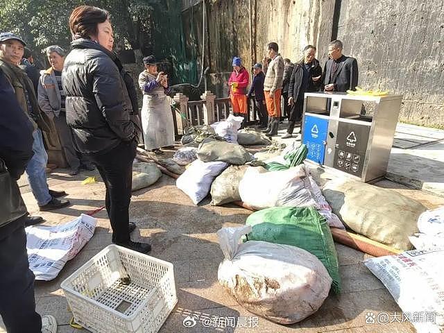 重庆公园满池锦鲤翻肚死亡！尸体装满30麻袋，因一男子忌妒下毒（视频/组图） - 6