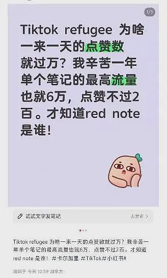 “我下周可能就没工作了，但我们要学中文了，宝贝！”小红书一夜爆火，挤满了TikTok美国“难民”（组图） - 12