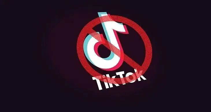 TikTok“难民”涌入小红书，中美网友开始赛博对账！结果两边都震惊了…（组图） - 29