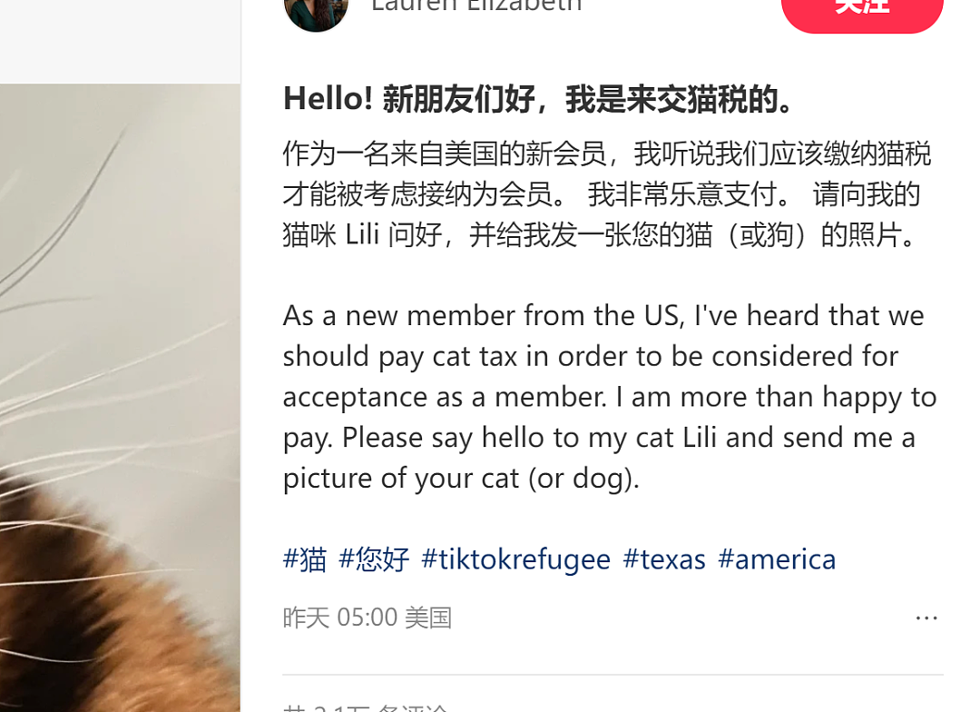 TikTok“难民”涌入小红书，中美网友开始赛博对账！结果两边都震惊了…（组图） - 7