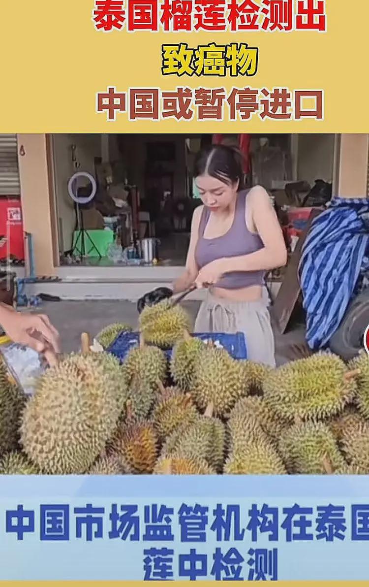 泰国榴莲出大事！100多柜遭退回，泰总理佩通坦或将赴中国进行商讨（组图） - 4