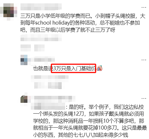 澳洲普娃一年花$3万上私校，还是买学区房？华人评论炸锅了！（组图） - 5