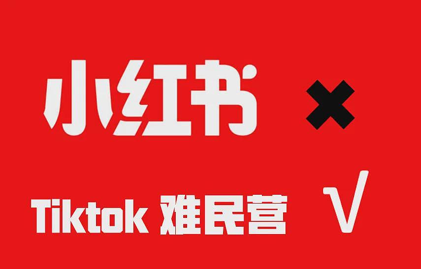 TikTok“难民”涌入小红书，中美网友开始赛博对账！结果两边都震惊了…（组图） - 31