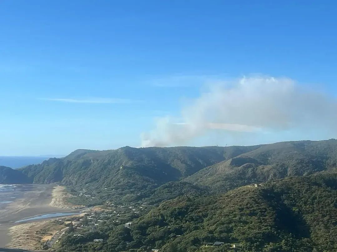 传染性极强！一人死；奥克兰一海滩发生火灾，海陆空全线支援，7人获救；蟑螂进耳朵，ACC收到300多份相关索赔（组图） - 3