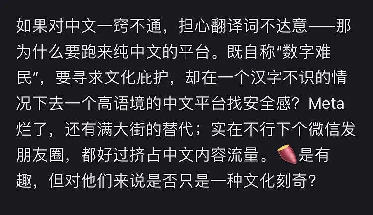 赢麻了！外国人疯狂涌入小红书，“洋悟运动”的泼天富贵背后，也藏着隐忧...（组图） - 20