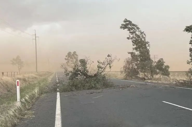 超强雷暴横扫！1人死亡，数千户断电，狂风暴雨和大冰雹，华人区城铁中断（组图） - 9