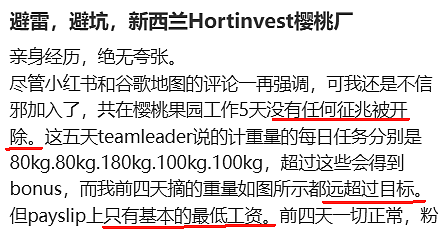 时薪可达50刀！华人亲身体验新西兰“最好赚”工作，抗不了几天！直喊“避雷”……（组图） - 14