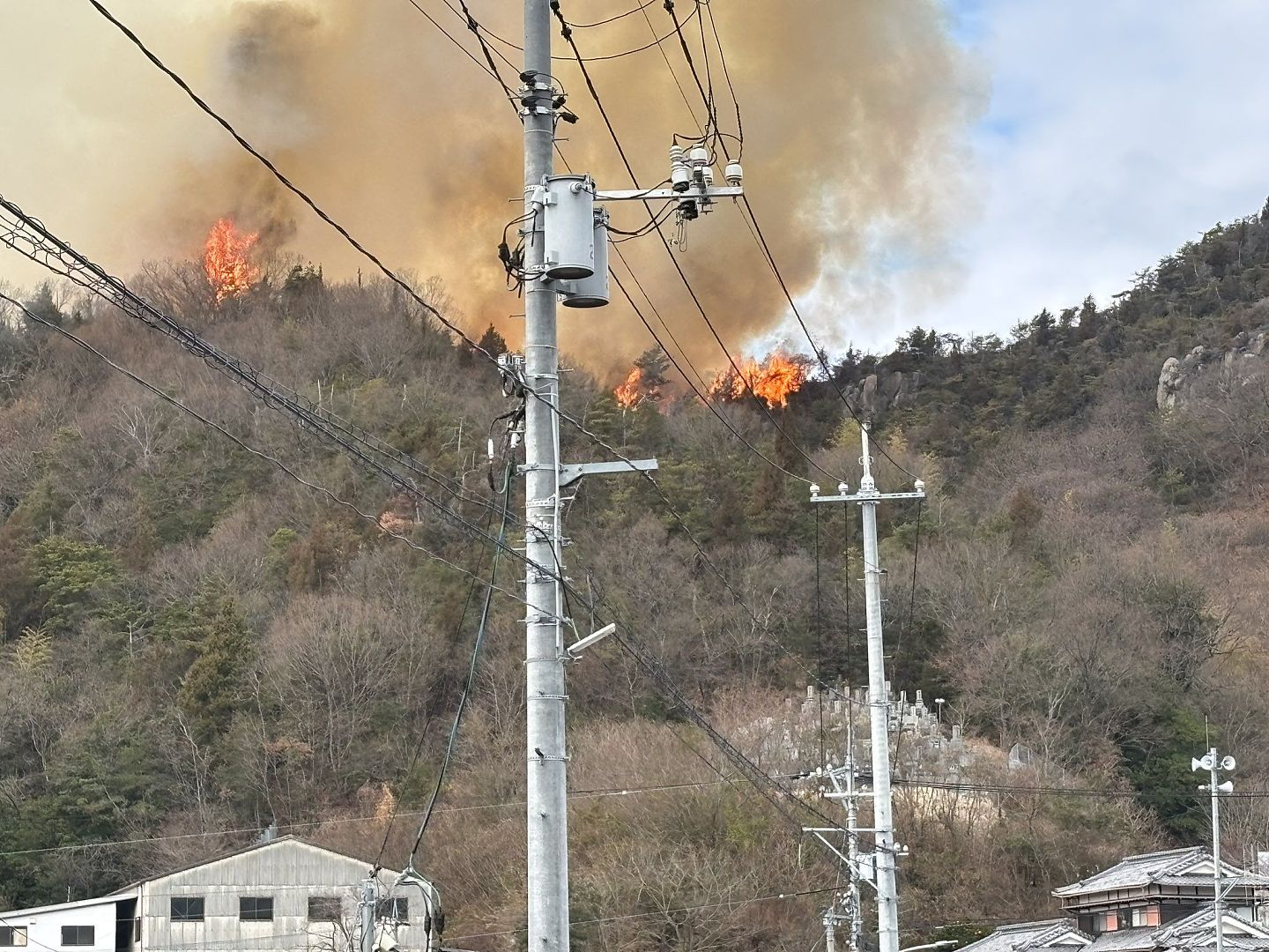 日本广岛山林大火！火势全面延烧“难以控制”，疑自卫队训练酿祸（组图） - 1