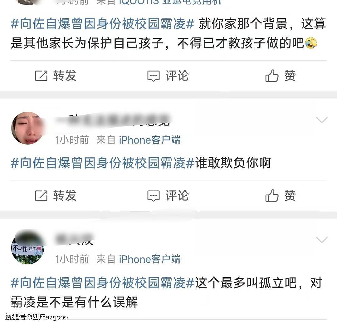 向佐发言引争议！自曝曾因身份被“校园霸凌”，网友评论出奇一致（组图） - 5