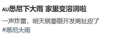 全乱套了！悉尼华人区“损失惨重”，极端天气下有人遇难！州长坐不住了…（组图） - 11