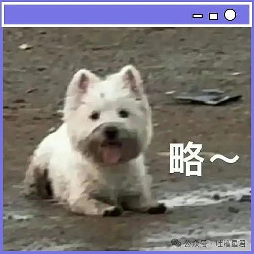 【爆笑】不小心把男友的礼物送给前任了...？对方：哈哈哈跟我玩这一出（组图） - 74