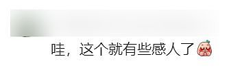 美国妹子急找失联7年的中国男同学，小红书网友热心帮忙！22小时后男主现身评论区（视频/组图） - 19