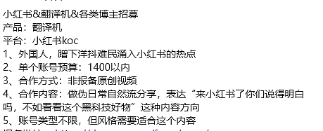 TikTok老外涌入小红书后网友假冒洋人钓鱼，看到疯狂倒贴的女生们我笑不出来（组图） - 18