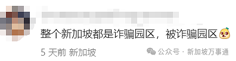 网传东南亚电诈大本营在新加坡！芽笼、国大南大等地都是“园区”？真相曝光…（组图） - 19