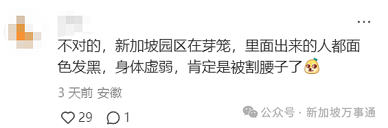 网传东南亚电诈大本营在新加坡！芽笼、国大南大等地都是“园区”？真相曝光…（组图） - 4