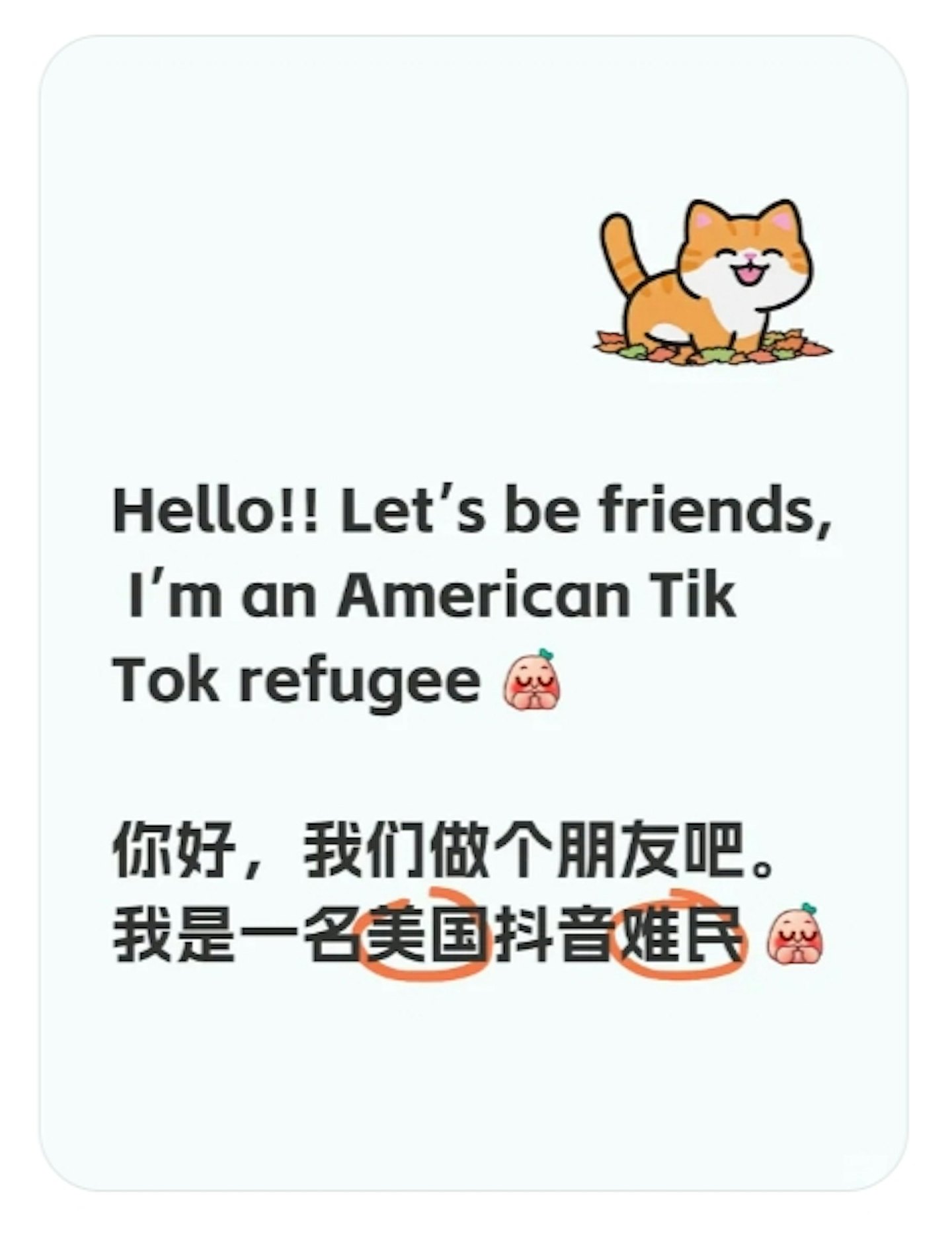 小红书与“TikTok难民”蜜月期后，最好和最坏的结果是什么？（组图） - 4