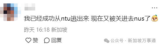 网传东南亚电诈大本营在新加坡！芽笼、国大南大等地都是“园区”？真相曝光…（组图） - 14