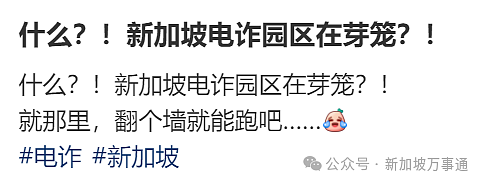 网传东南亚电诈大本营在新加坡！芽笼、国大南大等地都是“园区”？真相曝光…（组图） - 3