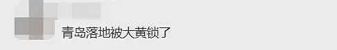 春节复飞！加拿大直飞回国$700+，大批华人落地惨提“大黄锁”：香奈儿、蔻驰遭查扣（组图） - 23