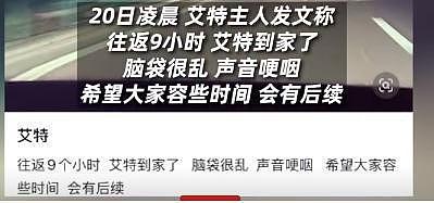 潘宏风波升级！网友举报平台热捧血腥博主，陈乔恩怒骂这是谋杀（组图） - 7