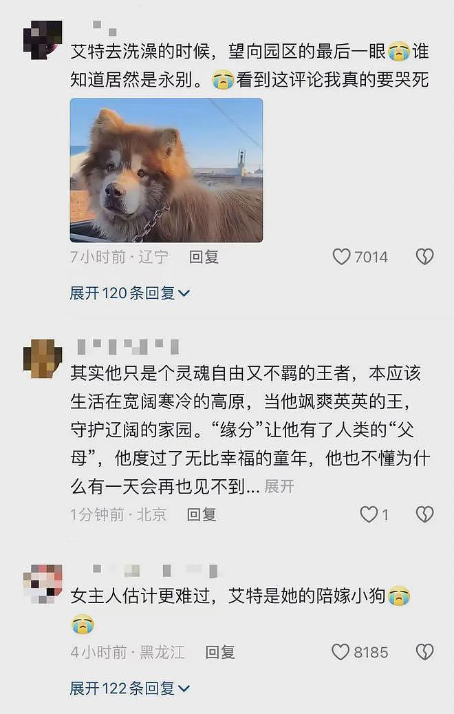 洗澡时突发心脏病去世……千万粉丝网红道歉：否认蹭流量，陈乔恩发声（组图） - 9