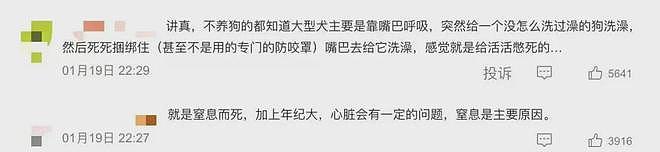 洗澡时突发心脏病去世……千万粉丝网红道歉：否认蹭流量，陈乔恩发声（组图） - 5