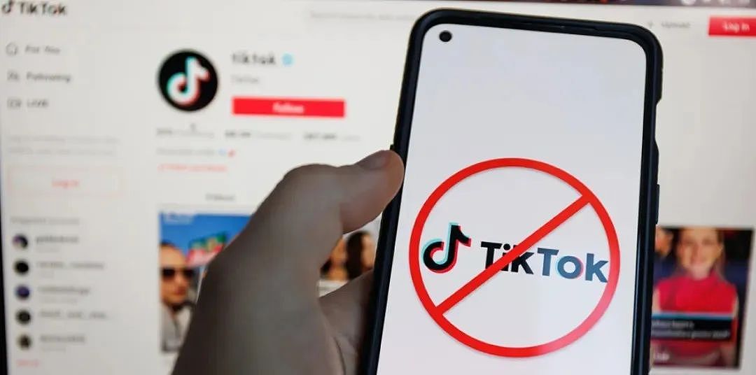 Tiktok下架最后时光，美国网红集体摊牌不装了：其实我视频和人设都是装的（组图） - 2